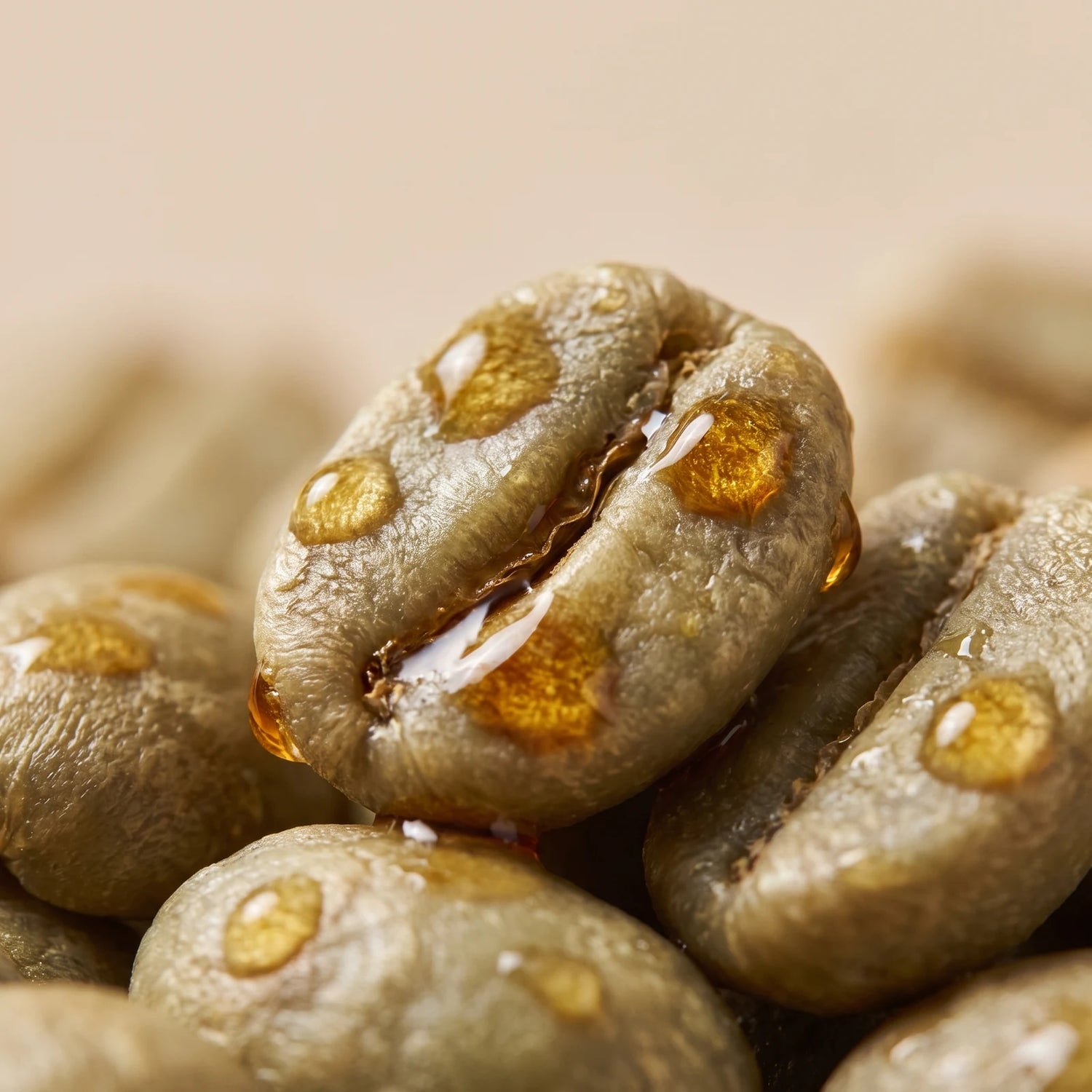 Élixir Capillaire Densifiant aux 5 Huiles Botaniques — Green Coffee Extract
