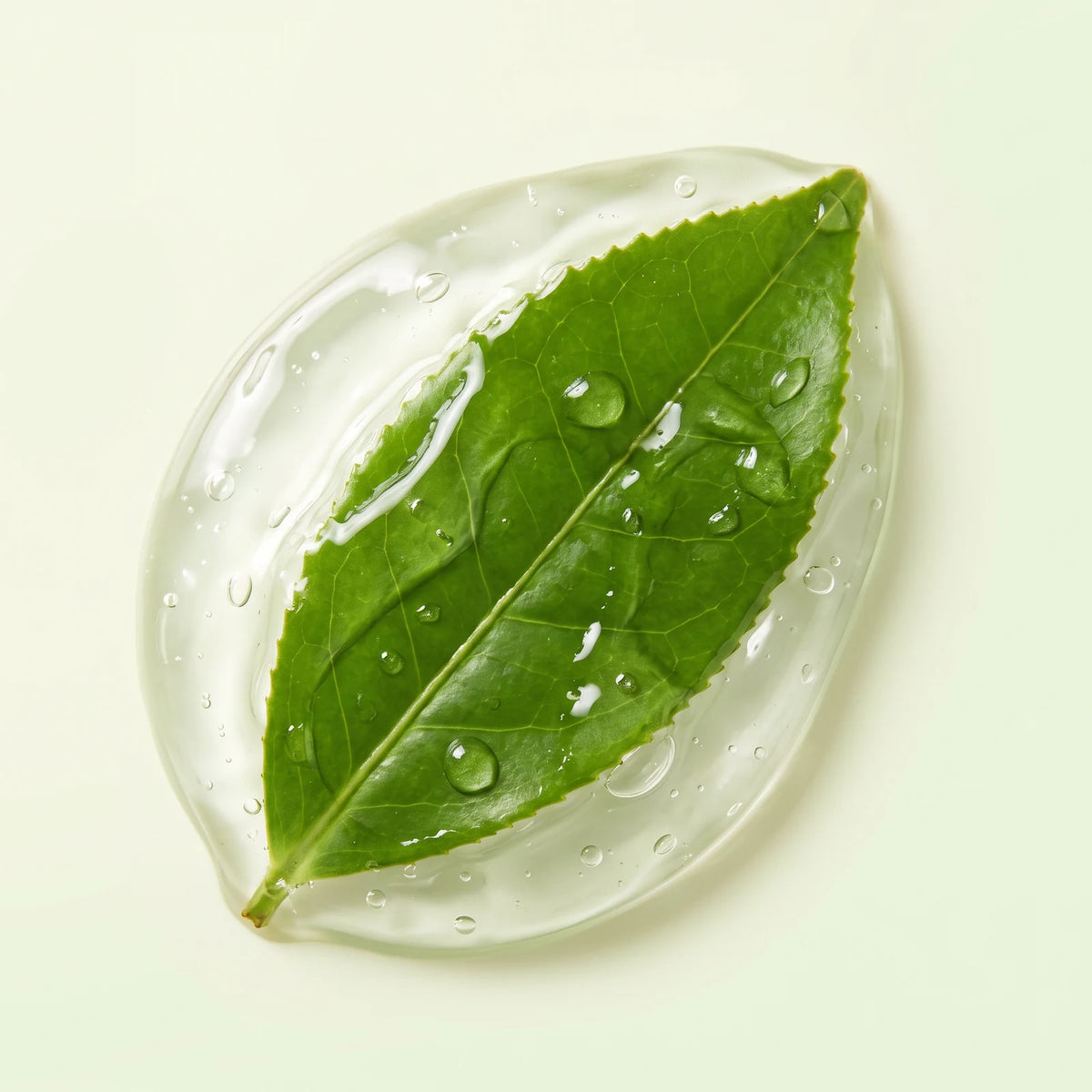 Masque Purifiant au Thé Vert en Stick, Extrait de thé vert naturel
