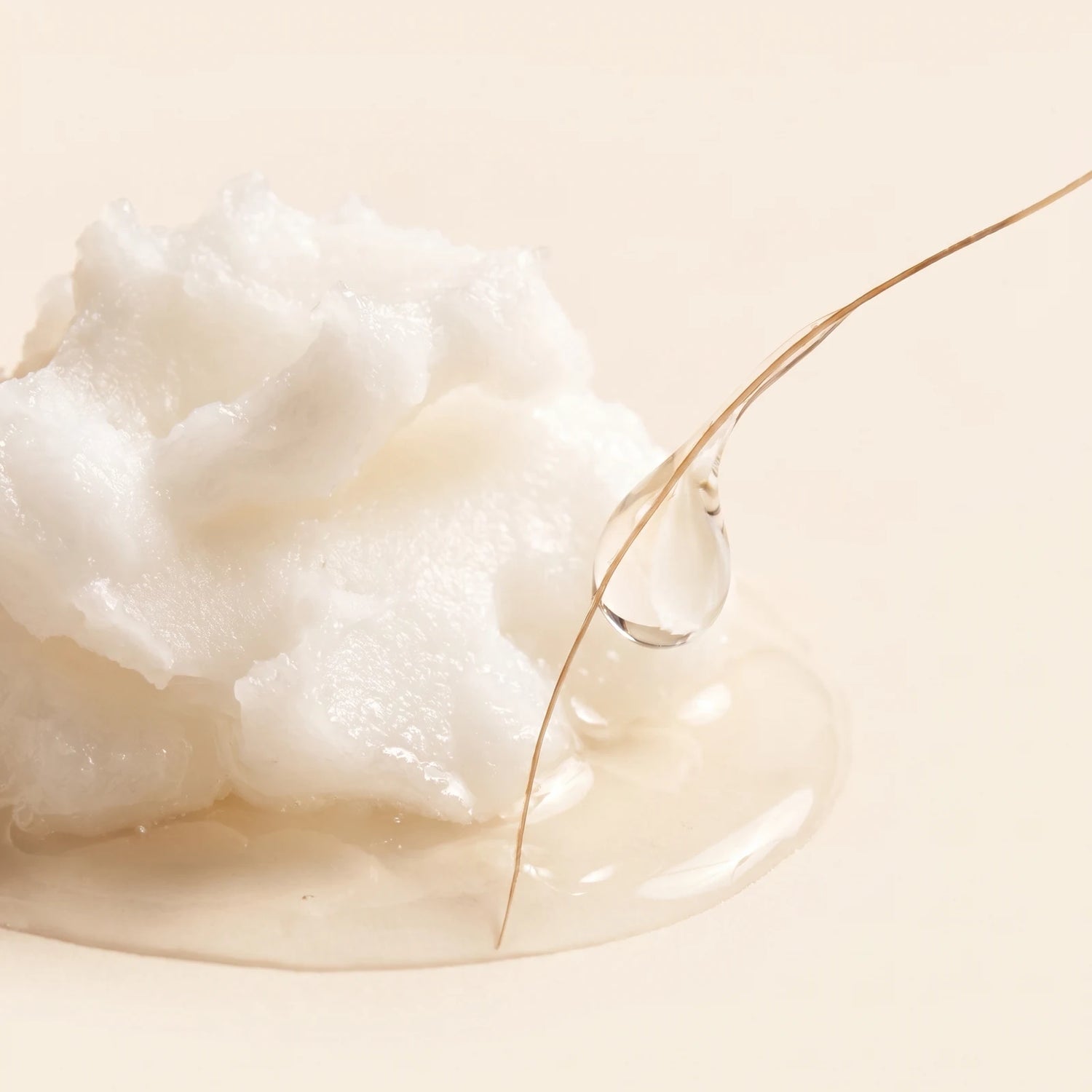 Sérum Capillaire Botanique Densifiant — Coconut Oil