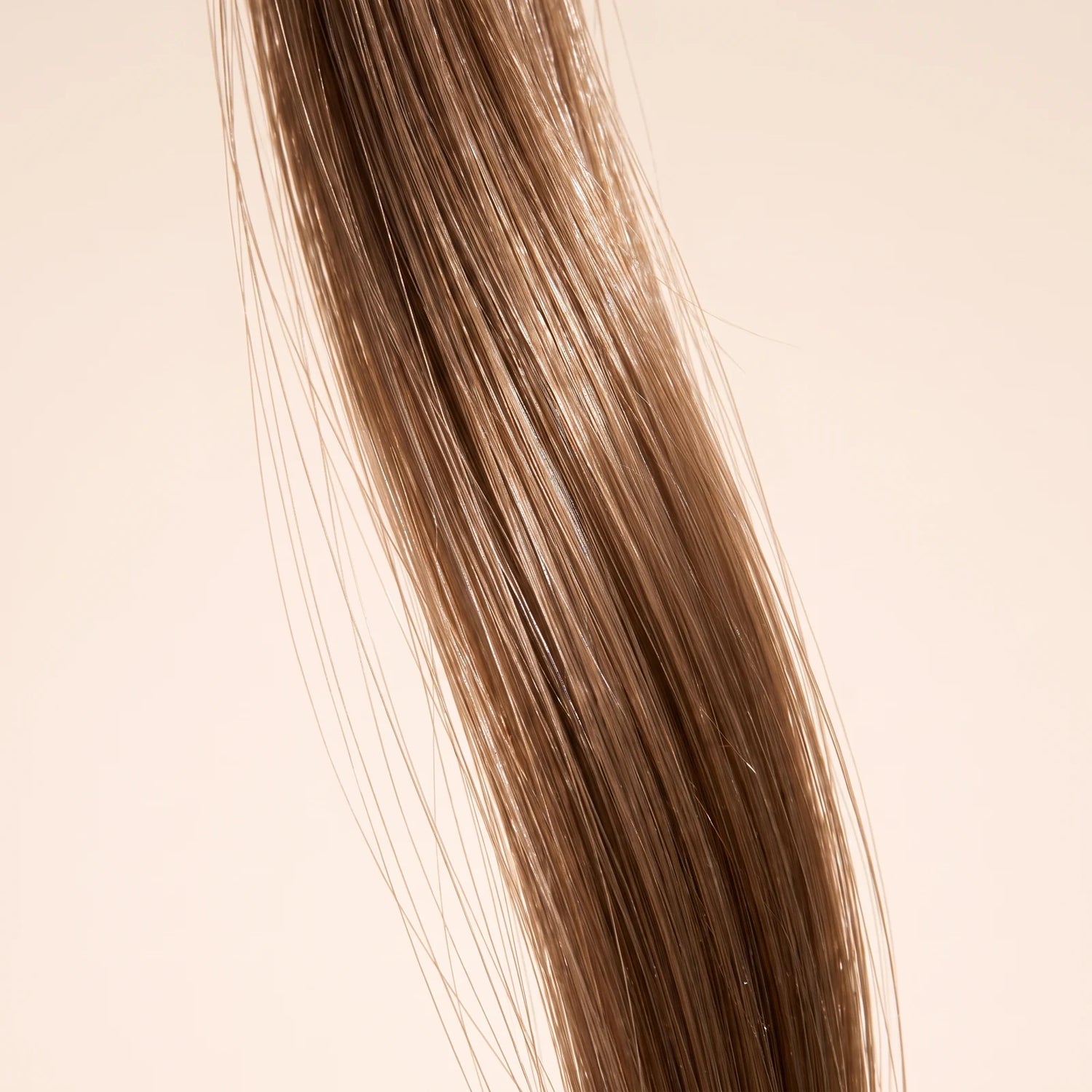 Crème Capillaire Nourrissante aux 5 Actifs Botaniques — root cause