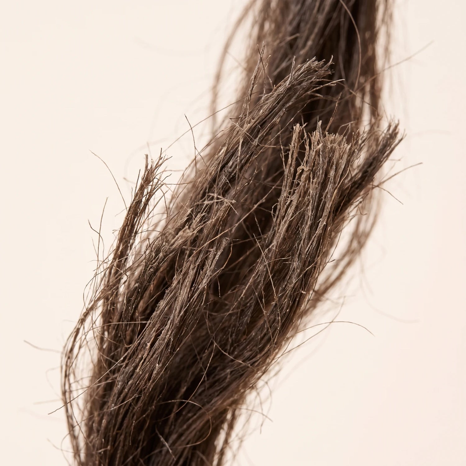 Après-Shampooing Botanique Fortifiant au Café Vert & Romarin — root cause