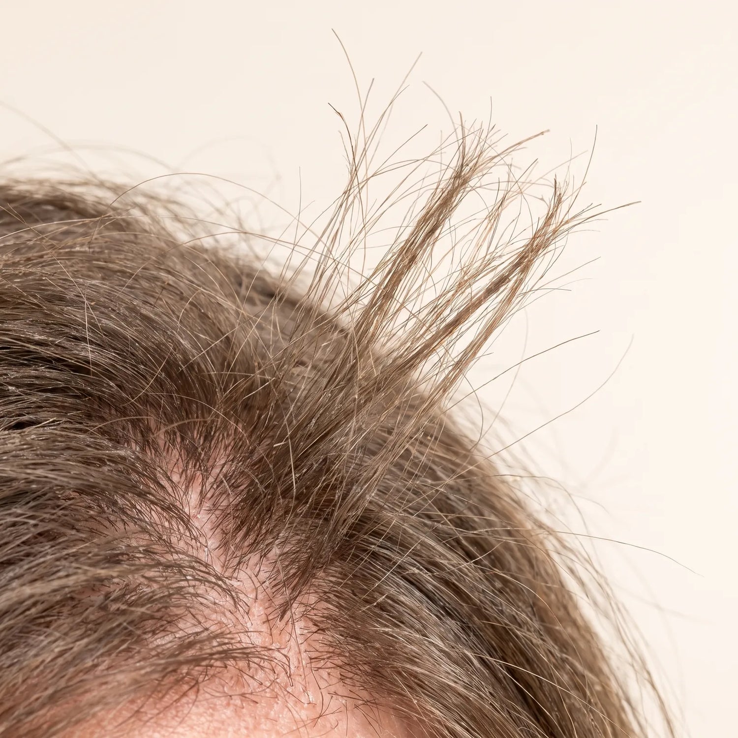 Shampooing Botanique Fortifiant au Café Vert & Romarin — root cause
