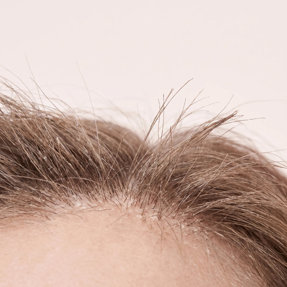 Poudre à Sourcils Imperméable, cause profonde