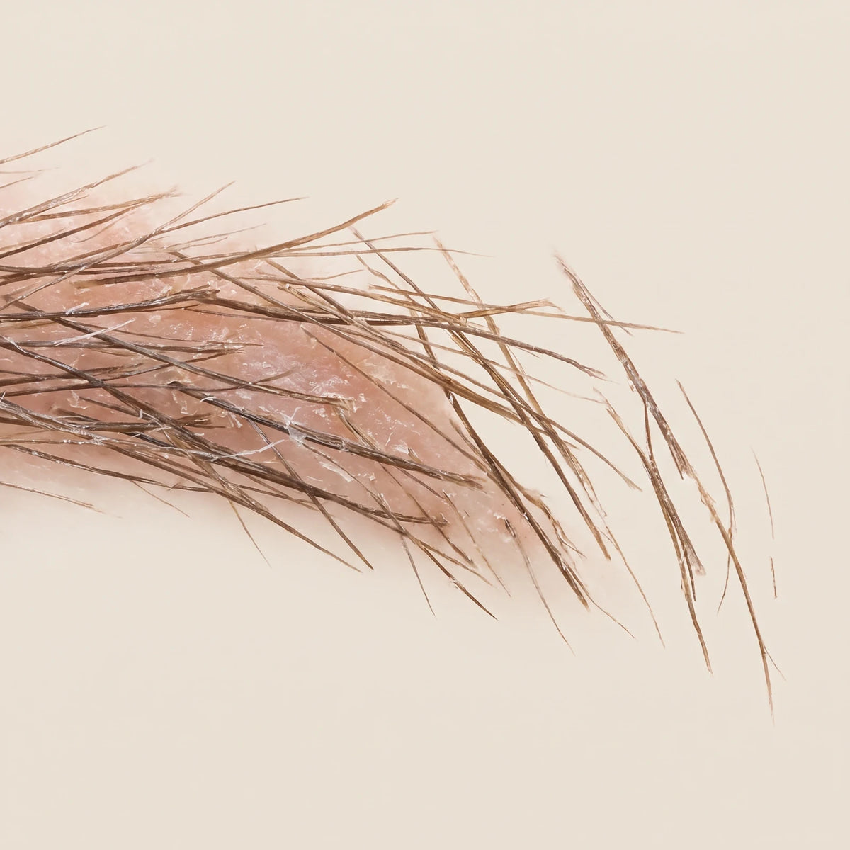 Poudre à sourcils imperméable et effet naturel, cause profonde